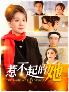 惹不起的她（106集）红果免费短剧