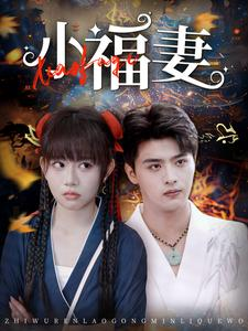小福妻（62集）免费在线看