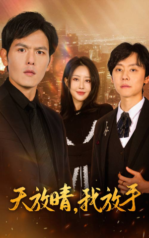 天放晴，我放手（35集）最新热剧免费看