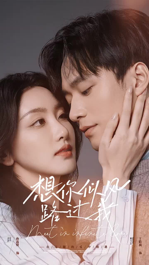 想你似风路过我（40集）精彩短剧后续