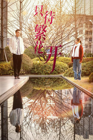 只待繁花开(35集) 只待繁花开(35集)超好看短剧推荐