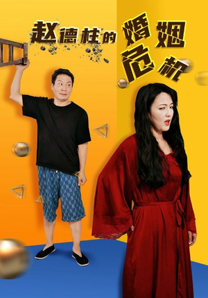 赵德柱的婚姻危机（35集）完整版免费观看