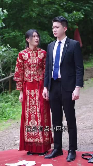 乡野豪龙（92集）短剧推荐分享