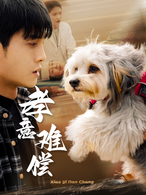 孝意难偿（32集）超甜短剧分享