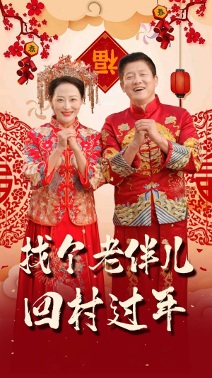 找个老伴儿回村过年（58集）全集免费观看