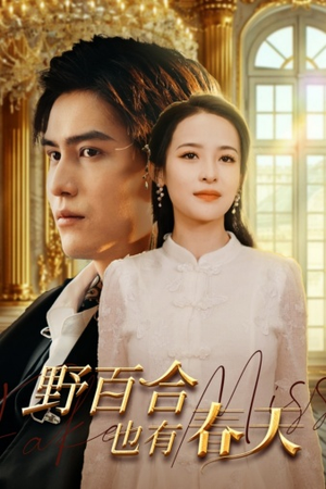 野百合也有春天(85集) 野百合也有春天(85集)解说文案