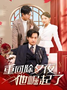 重回除夕夜他崛起了（89集）高质量短剧推荐