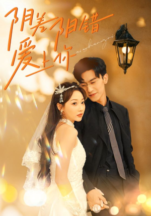 阴差阳错爱上你（62集）短剧爆款推荐