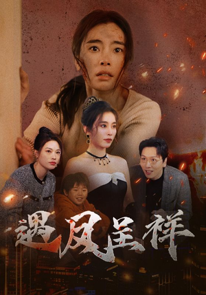 遇凤呈祥（50集）1-102集