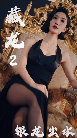 藏龙2银龙出水（35集）好看又上头短剧