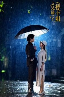 又见面了楼小姐（68集）好看到停不下来