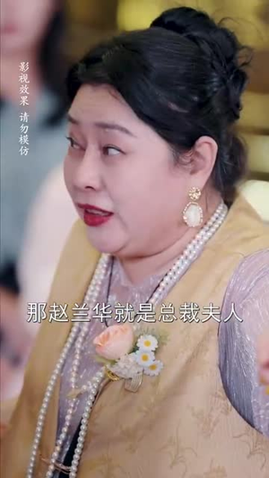 中年甜蜜进行时（70集）解说