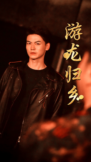 游龙归乡（60集）在线免费观影