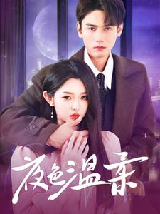 夜色温柔（98集）短剧精彩推荐