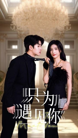 只为遇见你(88集) 只为遇见你(88集)最新热门短剧