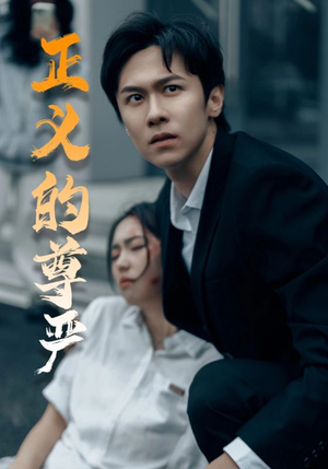 正义的尊严（35集）全集都在这里了