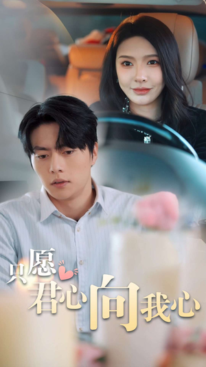 只愿君心向我心（31集）经典老剧免费看