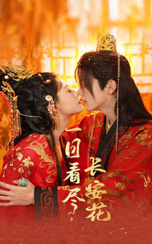 一日看尽长安花（58集）热播短剧重燃