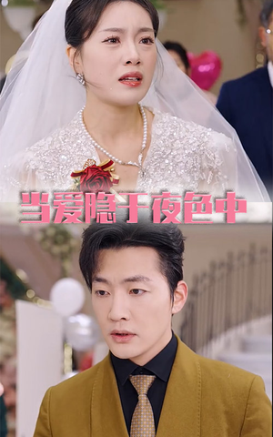 当爱隐于夜色中（37集）精彩短剧随心推