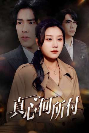 真心何所付（30集）无需会员免费看