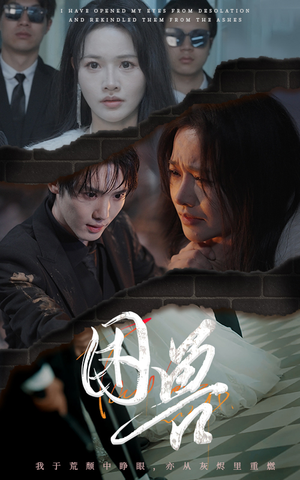 困兽（31集）全集我都看完了