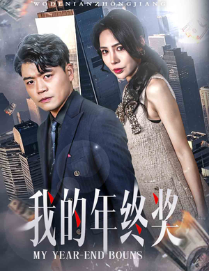 我的年终奖（30集） 无需充值尽情看