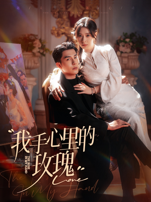 我手心里的玫瑰（91集） 在线免费观影