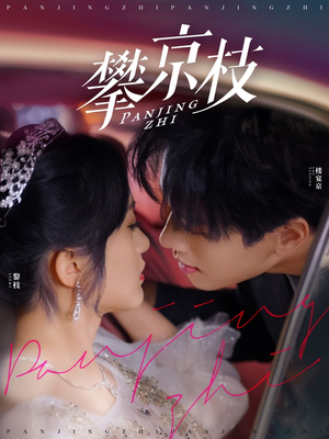 攀京枝（80集） 短剧全集免费看