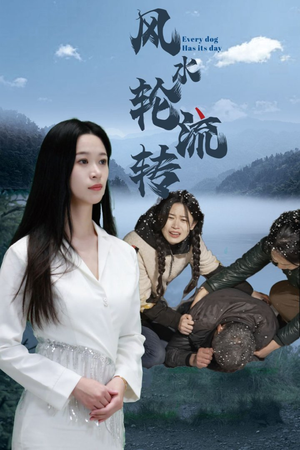 风水轮流转(65集) 风水轮流转(65集) 全集