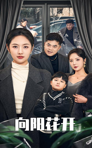 向阳花开（40集） 太好看了短剧