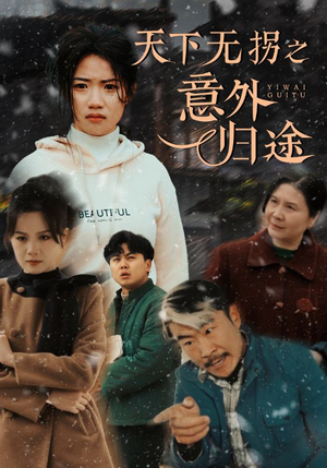 天下无拐之意外归途（61集） 短剧全集完整