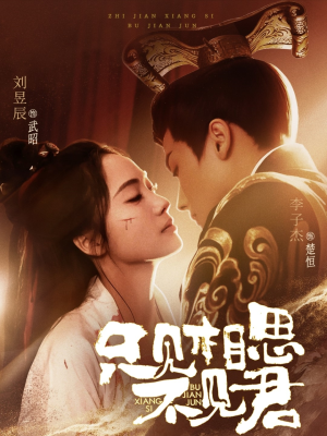 只见相思不见君(82集) 只见相思不见君(82集) 精彩短剧看全集