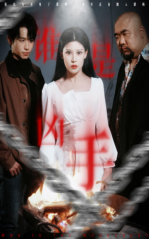 谁是凶手（31集） 精彩短剧天天看