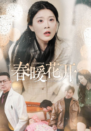 春暖花开（30集） 80到100集