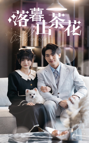 落幕山茶花（50集） 古装热门短剧