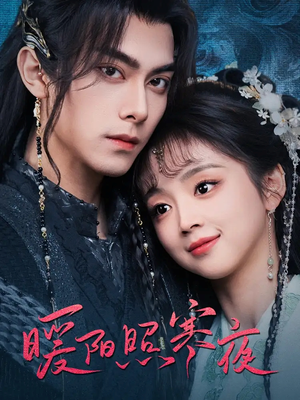 暖阳照寒夜（68集） 在线观看完整版