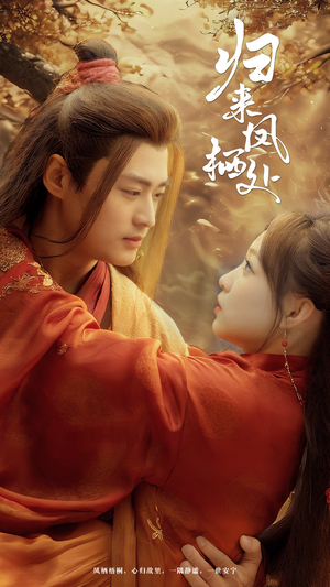 归来凤栖处（60集） 短剧演员排行榜