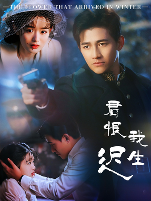 司令府就是我的家（60集） 热门短剧推广