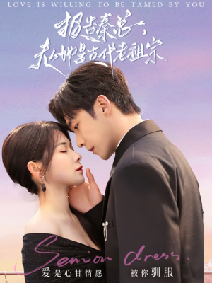 报告秦总，夫人她是古代老祖宗（65集） 无需充值尽情看