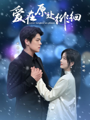 爱在原处徘徊(30集) 爱在原处徘徊(30集) 短剧抢先看全集