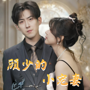 顾少的小宠妻（90集）精彩短剧推荐