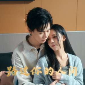 路过你的人间（31集）悬疑短剧推荐