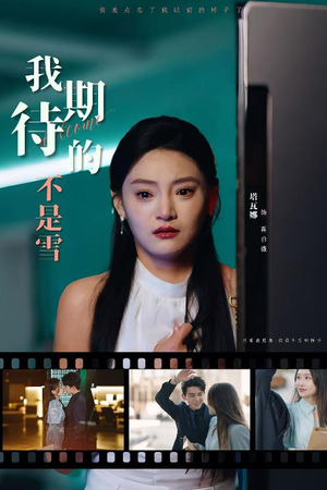 我期待的不是雪(30集) 我期待的不是雪(30集)短剧中追到爽