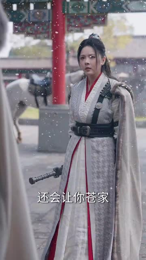 智驭权谋将军的童养夫（81集） 高分佳作免费看