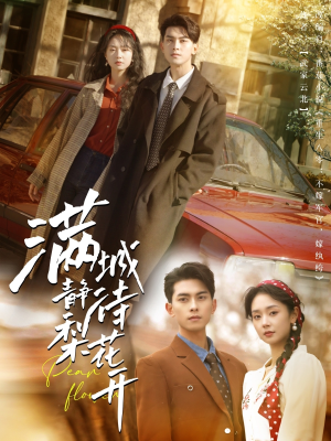 满城静待梨花开（100集）大结局