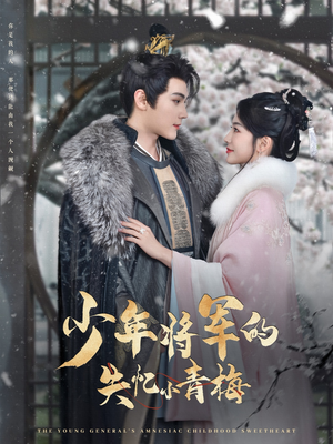 少年将军的失忆小青梅（100集）网上可以看吗