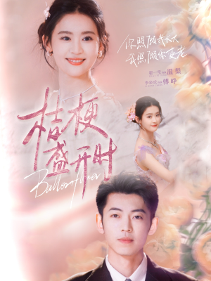 桔梗盛开时（92集）这短剧太好看了