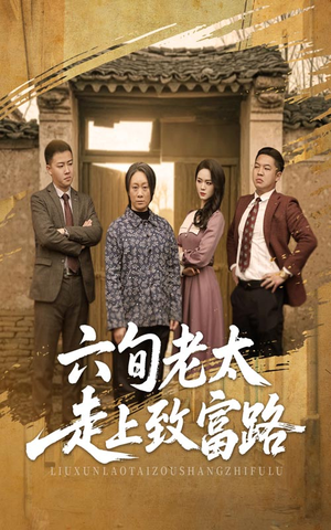 六旬老太走上致富路（60集）观看软件