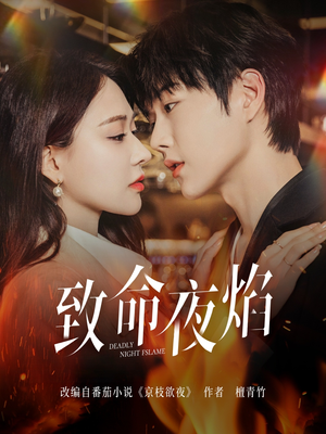 致命夜焰（80集） 第三季