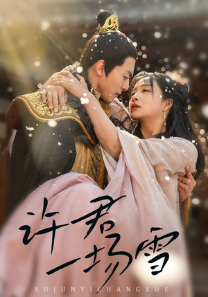 许君一场雪（43集）免费看